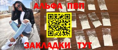 бошки Кингисепп