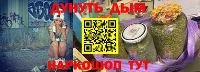 бошки Кингисепп