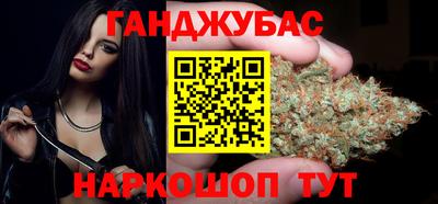 бошки Кингисепп