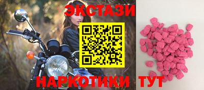 бошки Кингисепп