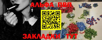 бошки Кингисепп