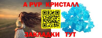 бошки Кингисепп