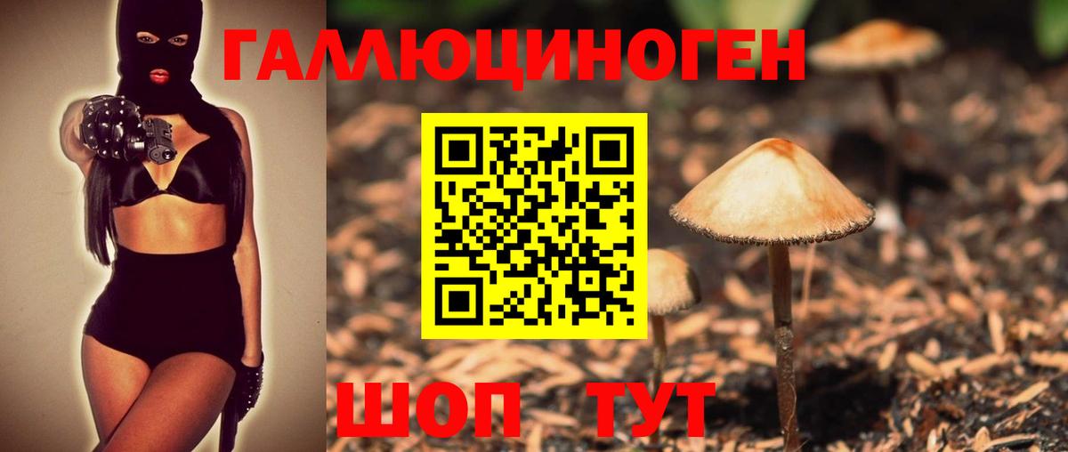 Псилоцибиновые грибы прущие грибы Дюртюли