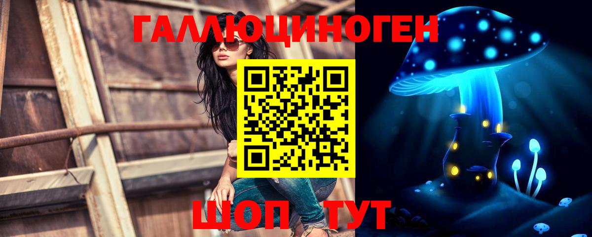 где продают   Вход с VPN  Дюртюли  Галлюциногенные грибы прущие грибы 