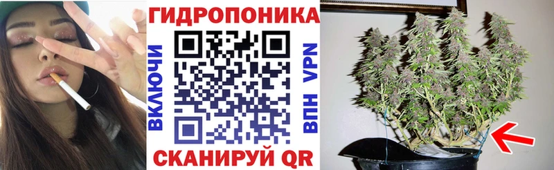 купить наркотики цена  Дюртюли  omg сайт  Бошки марихуана AK-47 